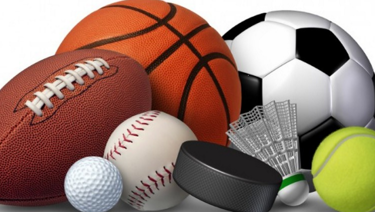 التربية البدنية