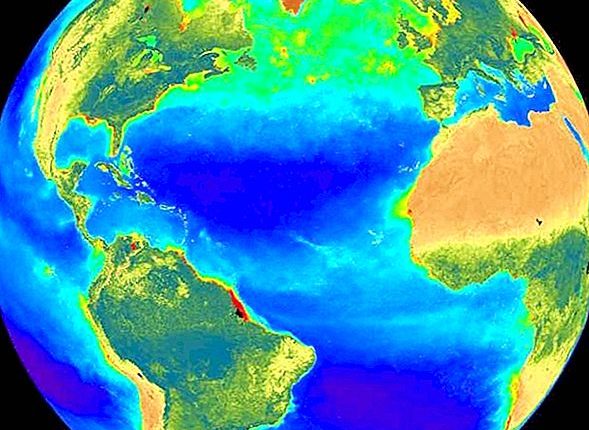 الغلاف الحيوي