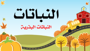 النباتات البذرية