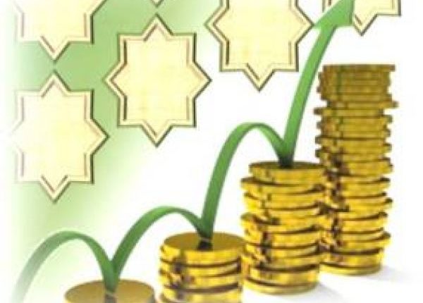 النظام الاقتصادى الاسلامى مادة علوم ادارية