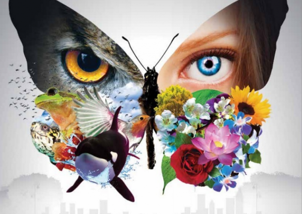 تحضير المستقبل مادة الأحياء 2 مقررات 1442-2021